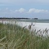 Tour 12: Darß - 1